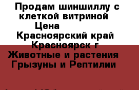 Продам шиншиллу с клеткой-витриной › Цена ­ 10 000 - Красноярский край, Красноярск г. Животные и растения » Грызуны и Рептилии   